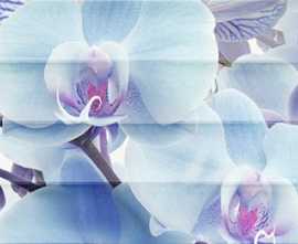 Декор Dec Vanda Panno B 25x45