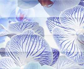 Декор Dec Vanda Panno A 25x45
