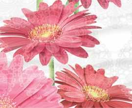 Декор Dec Gerbera Panno B 25x45