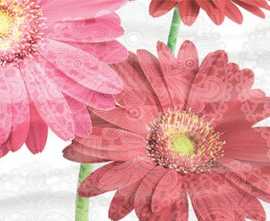 Декор Dec Gerbera Panno A 25x45