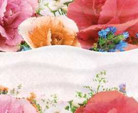 Декор Dec Aroma Decor 25x45