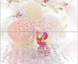 Панно Orchid Panno Декор (из 2-х шт) 45x50