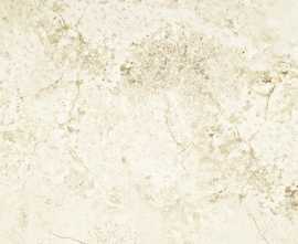 Керамогранит Alabaster Shine MAT 59,8x59,8