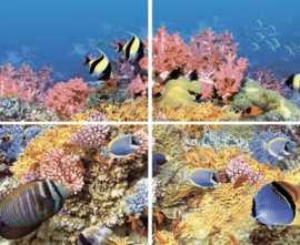 Панно Alba Reef-1 (из 4-х плиток) 40x60