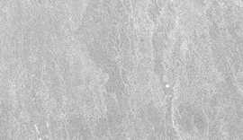 Плитка Alcor серый 20x60 (9 мм)