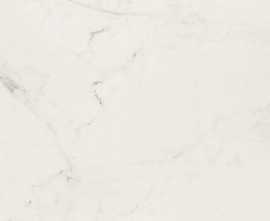 Керамогранит Allmarble Altissimo Silk rett 90x90