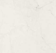 Керамогранит Allmarble Altissimo Lux rett 60x120