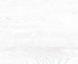 Плитка Wood 24,9x50 TWU09WOD000