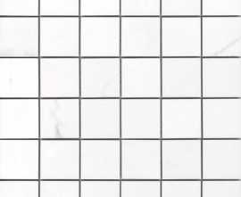 Мозаика Apuane White Pul.Mos. 5х5