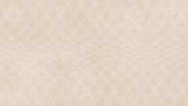 Плитка Arego Touch светло-серый рельеф 29x89