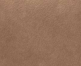Керамогранит Nisus Terra Rect 120x120
