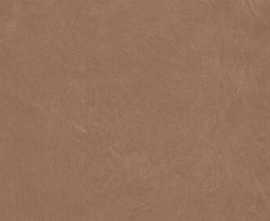 Керамогранит Argillae Terra Rect 60x120