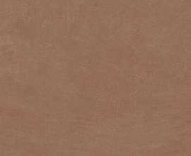 Керамогранит Argillae Terra Rect 30x60