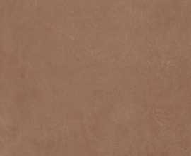 Керамогранит Argillae Terra Rect 120x120