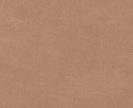 Керамогранит Argillae Gobi Rect 30x60