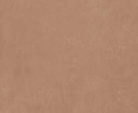 Керамогранит Argillae Gobi Rect 120x120