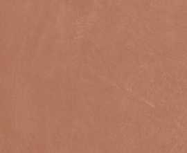 Керамогранит Argillae Coral Rect 60x60