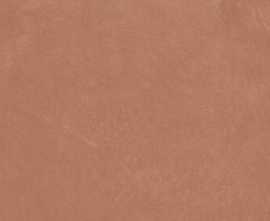 Керамогранит Argillae Coral Rect 60x120