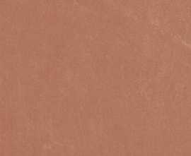 Керамогранит Argillae Coral Rect 30x60