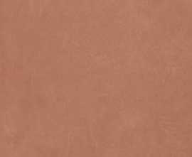 Керамогранит Argillae Coral Rect 120x120