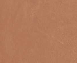 Керамогранит Argillae Anti-Slip Coral Rect 60x60