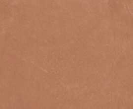 Керамогранит Argillae Anti-Slip Coral Rect 60x120