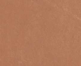 Керамогранит Argillae Anti-Slip Coral Rect 30x60
