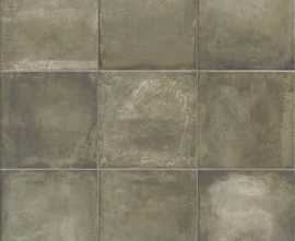 Плитка Arrebato Natural 20x20