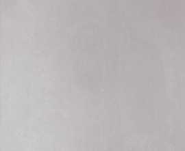 Керамогранит Delacora Baffin Gray Dark 41x41