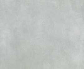 Керамогранит Baltico Gris Lapp. Rect. 60x60