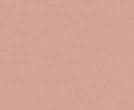 Керамогранит Bauhome Rose 20x20