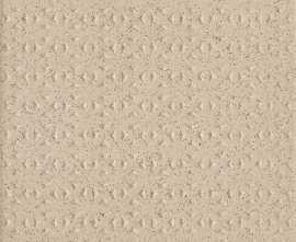 Керамогранит Bazo Beige Sol-Pieprz 13 mm Struktura 19,8x19,8