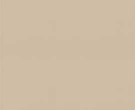 Керамогранит Bazo Beige Monokolor Mat 30x30