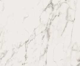 Керамогранит Bianco CAL RE 90 RM 90x90