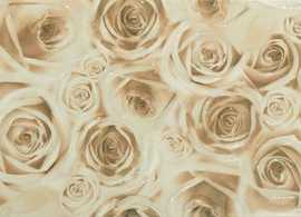 Декор Bliss beige decor 01 25x60