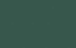 Плитка Fashion green 32,8x89,8