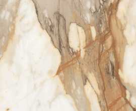 Керамогранит Borgini Gold gloss 60x60