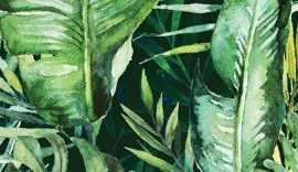 Декор Braga Tropic B inserto 25x75