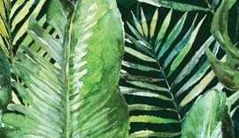 Декор Braga Tropic A inserto 25x75