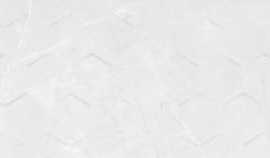 Плитка Braga white hexagon 25x75