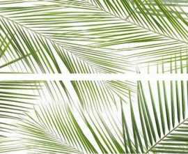 Панно Brennero Tropic AB (из 2-х плиток) 50x75