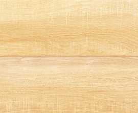 Плитка Briole Wood 24,9x50