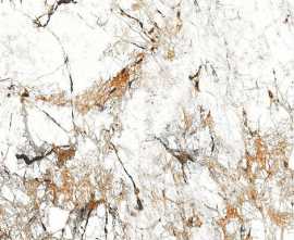 Керамогранит Burberry White Sugar 60x60