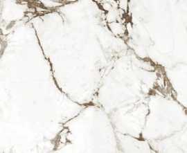 Керамогранит Calacatta Bronze matt 60x120