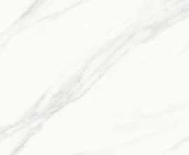Керамогранит Calacatta Superb белый сатинированный 60x120