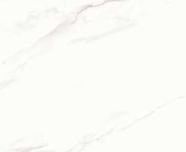 Керамогранит Calacatta Superb белый матовый 60x60