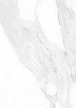 Плитка Calacatta White rett 25x75