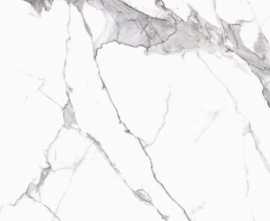 Керамогранит Calacatta white matt 119,7x119,7
