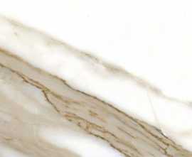 Керамогранит Calacatta Nplus brillo rec 60x120