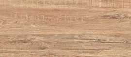 Керамогранит Camper Savanna Natural 24,75x99,55